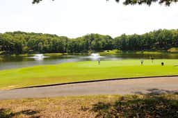 Condo on the Green - Image 2