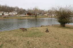 DaddyOMine at Duck Harbor Resort - Image 3