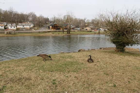 Idlewild at Duck Harbor Resort - Image 1
