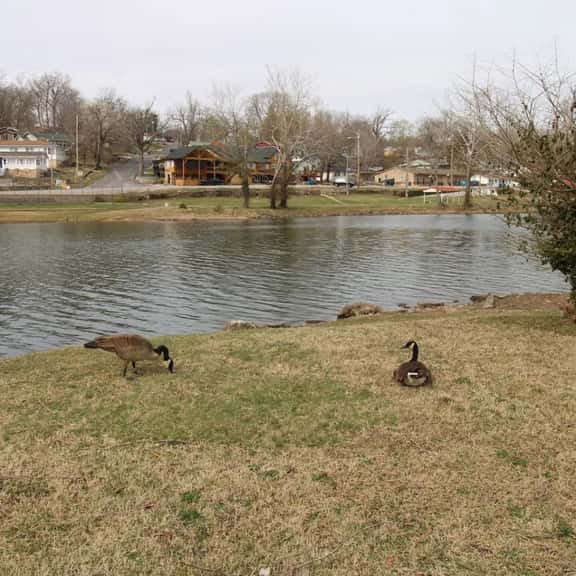Idlewild at Duck Harbor Resort - Image 1