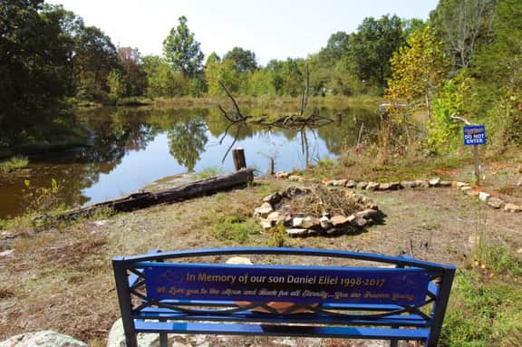 Bluebird Estate - Image 3
