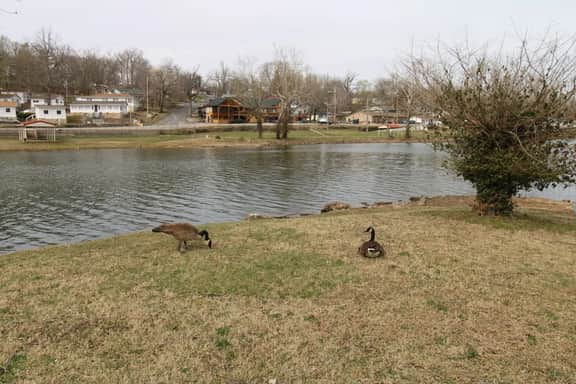 DaddyOMine at Duck Harbor Resort - Image 3